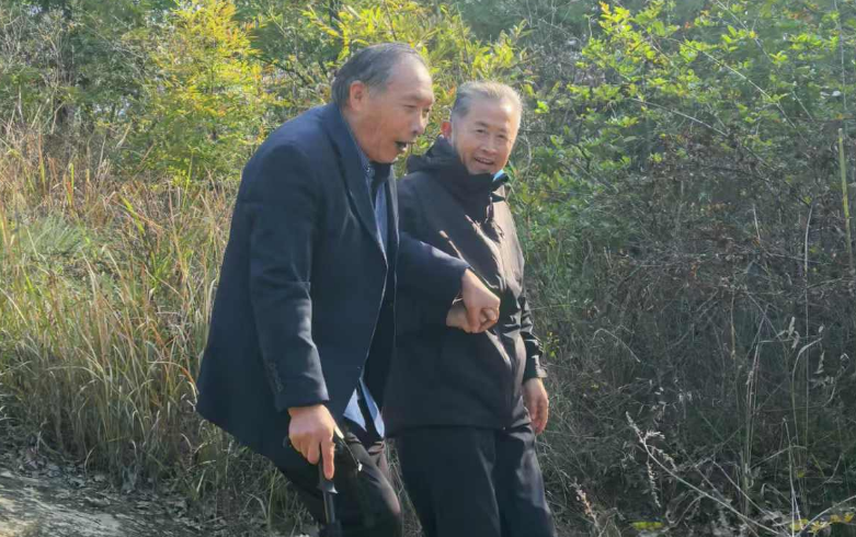 1731291513898078.png QQ图片20241111101356.png