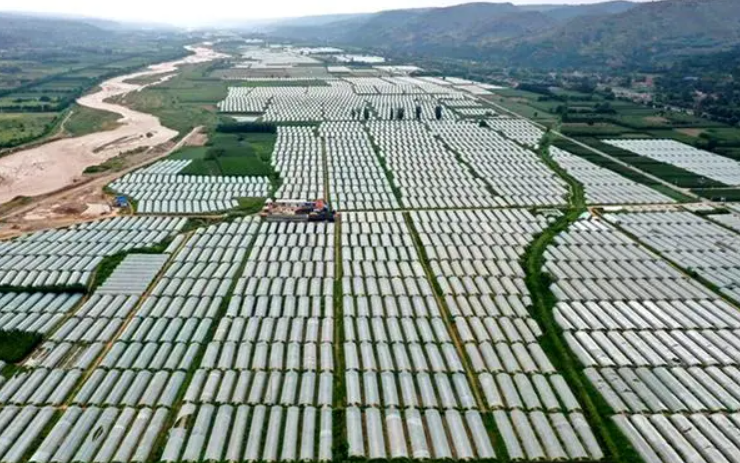 1735195089106622.png QQ图片20241226143738.png