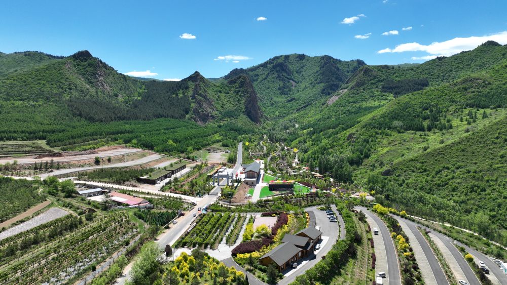 习近平总书记关切事｜以林为笔的生态答卷